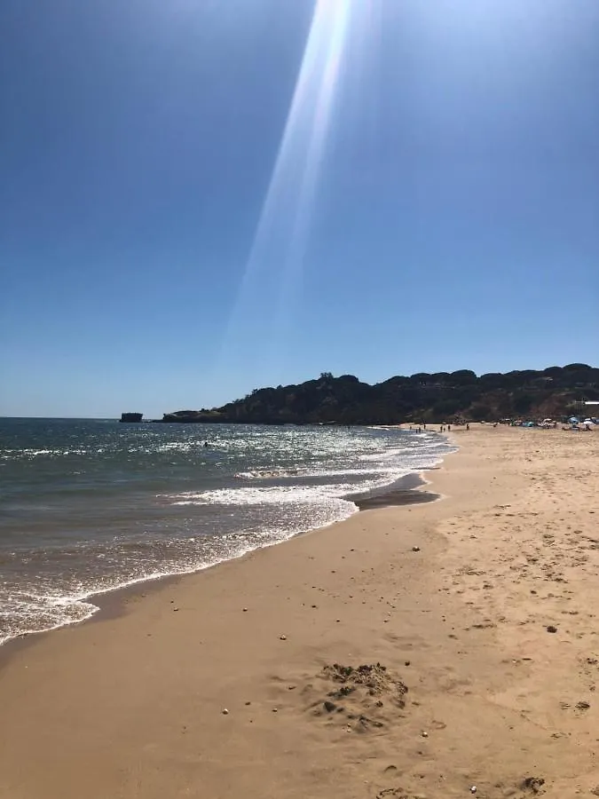 Casa vacanze CASA CRISTINA avec jacuzzi privé Villa Guia  Portogallo