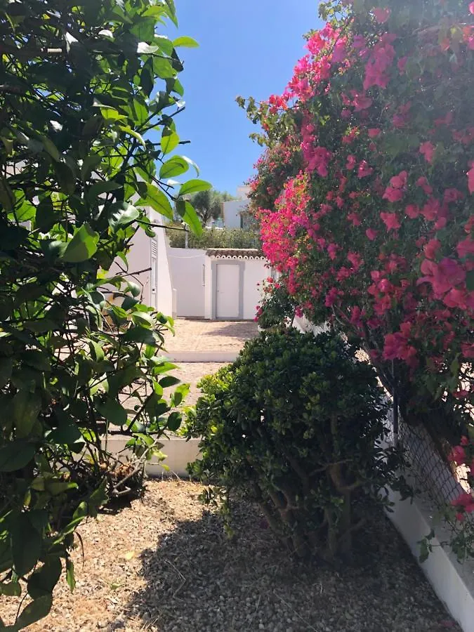 Casa Cristina Avec Mini Piscine Privee Villa Guia  Holiday home Guia (Faro)